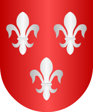 ESCUDO ALEATORIO
