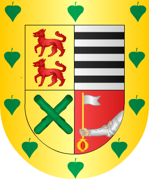 ESCUDO ALEATORIO