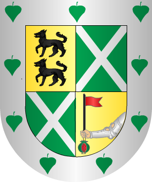 ESCUDO PRECEDENTE