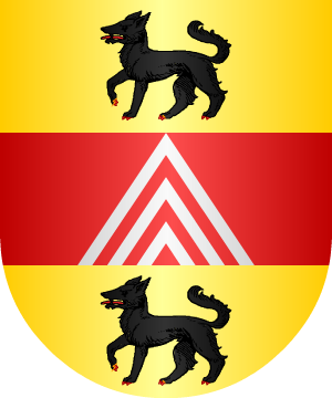 ESCUDO ALEATORIO