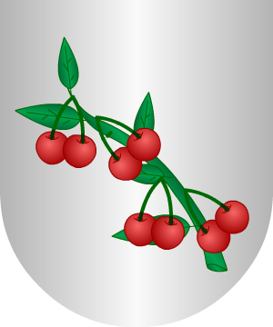 ESCUDO ALEATORIO