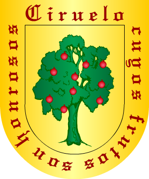 ESCUDO PRECEDENTE