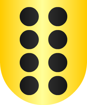ESCUDO ALEATORIO