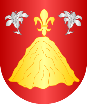 ESCUDO ALEATORIO