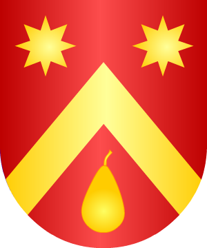 ESCUDO ALEATORIO