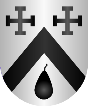 ESCUDO ALEATORIO