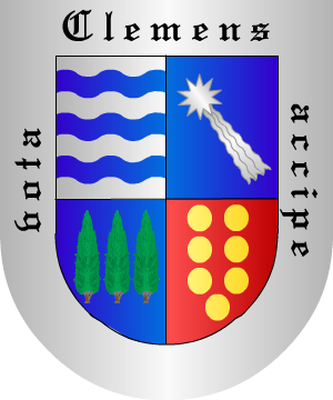 ESCUDO SIGUIENTE