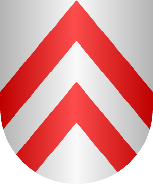 ESCUDO SIGUIENTE