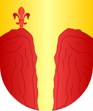 ESCUDO SIGUIENTE