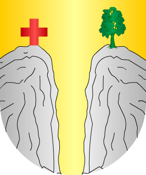 ESCUDO SIGUIENTE