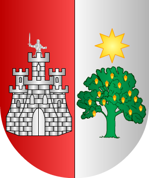 ESCUDO SIGUIENTE