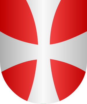 ESCUDO SIGUIENTE