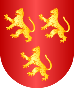 ESCUDO ALEATORIO