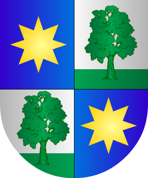 ESCUDO SIGUIENTE