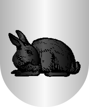 ESCUDO ALEATORIO