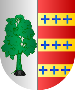ESCUDO SIGUIENTE