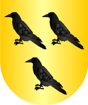 ESCUDO ALEATORIO