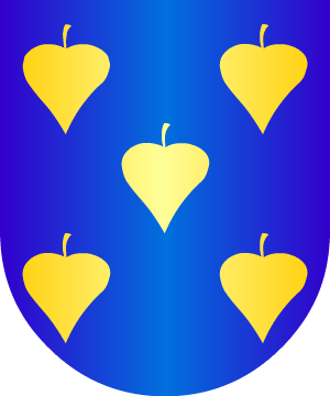 ESCUDO ALEATORIO
