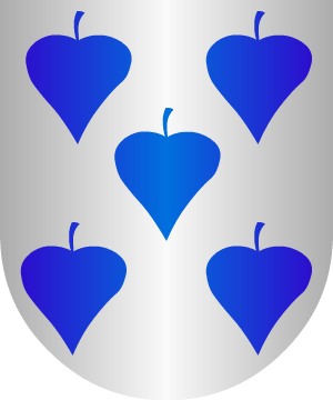 ESCUDO SIGUIENTE