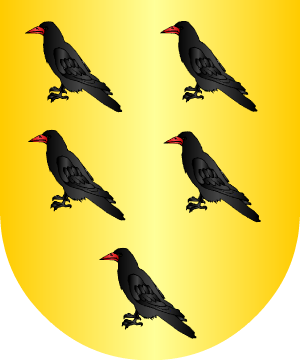 ESCUDO SIGUIENTE