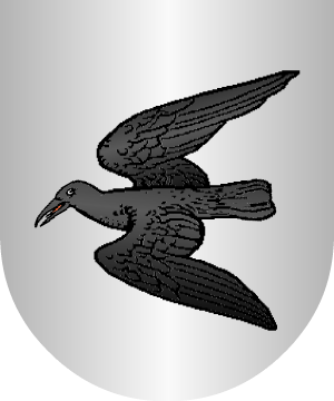 ESCUDO ALEATORIO