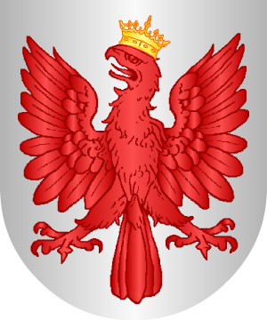 ESCUDO ALEATORIO