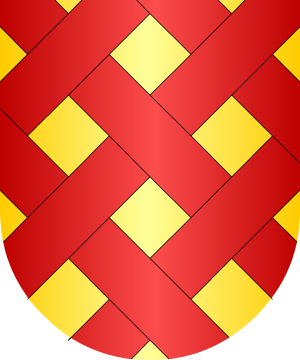 ESCUDO SIGUIENTE