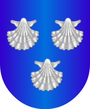 ESCUDO PRECEDENTE