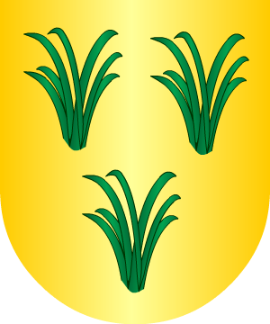ALEATORIO