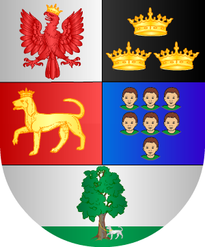 ESCUDO ALEATORIO