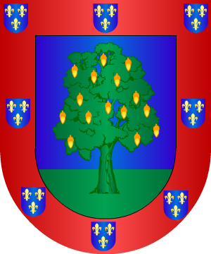 ESCUDO SIGUIENTE