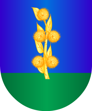 ESCUDO SIGUIENTE