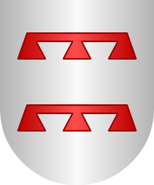 ESCUDO SIGUIENTE