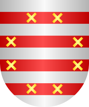 ESCUDO SIGUIENTE