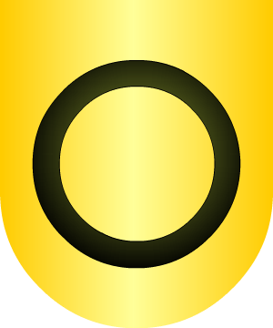 ESCUDO ALEATORIO