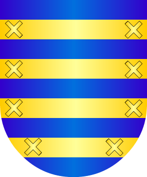 ESCUDO SIGUIENTE