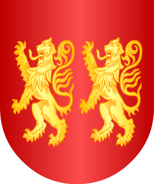 ESCUDO SIGUIENTE
