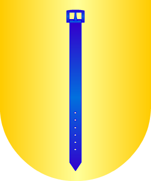 ESCUDO ALEATORIO