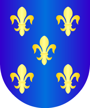 ESCUDO ALEATORIO