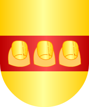 ESCUDO SIGUIENTE