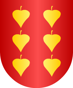 ESCUDO ALEATORIO