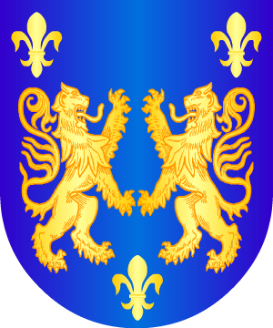 ESCUDO SIGUIENTE