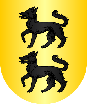ESCUDO SIGUIENTE