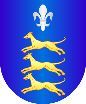ESCUDO ALEATORIO
