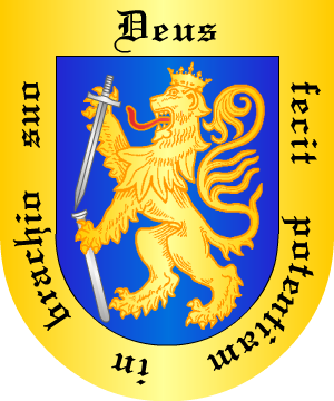 ESCUDO ALEATORIO