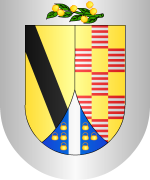 ESCUDO ALEATORIO
