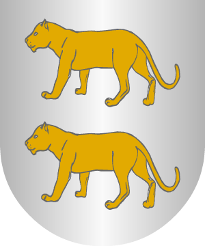 ESCUDO SIGUIENTE