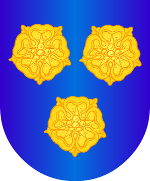 ESCUDO ALEATORIO