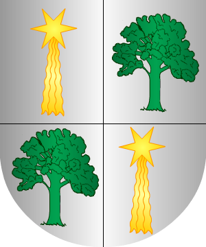 ESCUDO ALEATORIO