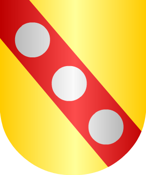 ESCUDO SIGUIENTE